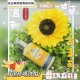 Baby Love 金盞花精油 CALENDULA Baby Cream 150ml All in One Formula